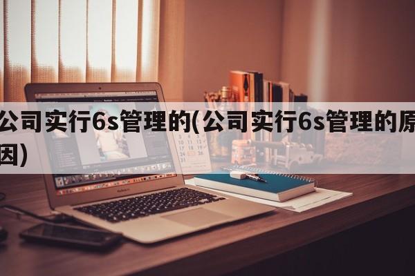 公司实行6s管理的(公司实行6s管理的原因)